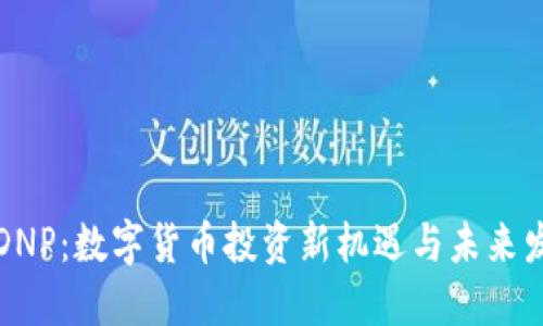 虚拟币DNP：数字货币投资新机遇与未来发展趋势