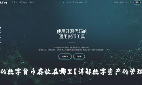 TP钱包购买的数字货币存放在哪里？详解数字资产的管理和查询方法