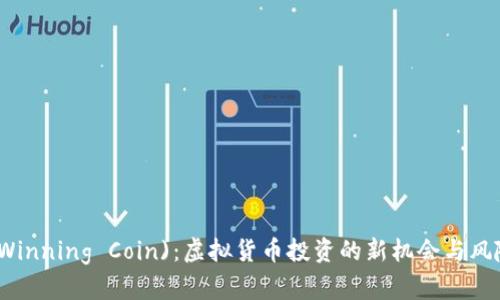 胜币(Winning Coin)：虚拟货币投资的新机会与风险分析