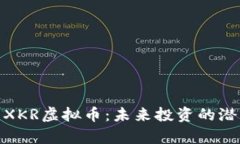 全面解析XKR虚拟币：未来投资的潜力与风险
