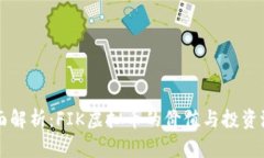 全面解析：FIK虚拟币的价值与投资潜力