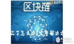 TP钱包密码忘记了怎么办？完整解决方案与实用技