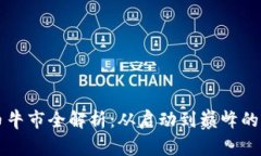 虚拟币牛市全解析：从启动到巅峰的每一步