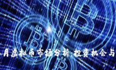 2023年6月虚拟币市场分析：投资机会与风险详解