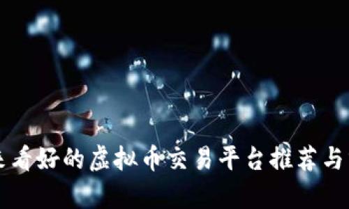 未来看好的虚拟币交易平台推荐与分析