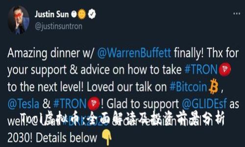 Tool虚拟币：全面解读及投资前景分析