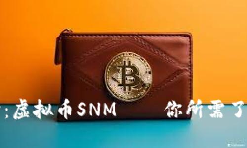 深入探讨：虚拟币SNM——你所需了解的一切