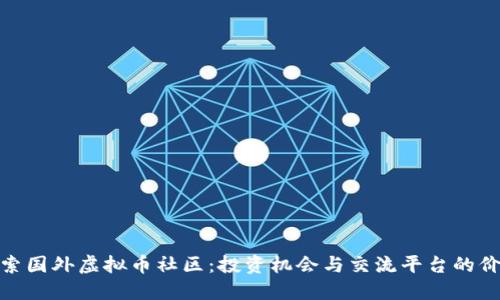 探索国外虚拟币社区：投资机会与交流平台的价值