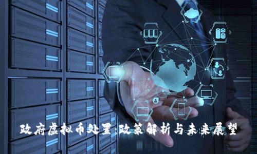 政府虚拟币处置：政策解析与未来展望
