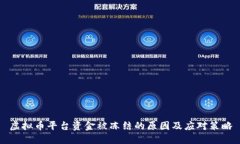 虚拟币平台资金被冻结的原因及应对策略