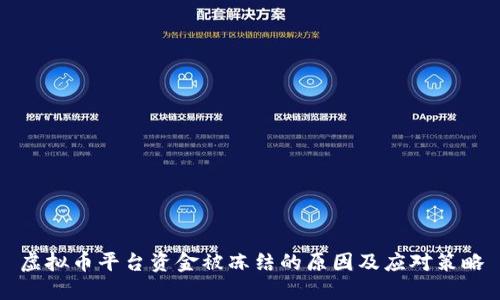 虚拟币平台资金被冻结的原因及应对策略