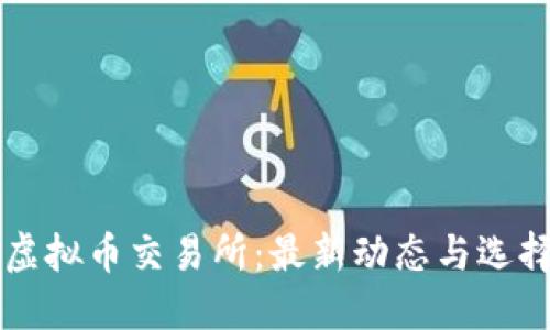 国内虚拟币交易所：最新动态与选择指南
