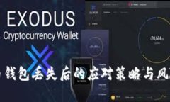 虚拟币钱包丢失后的应对策略与风险管理