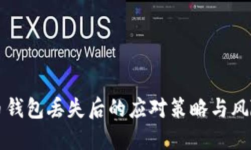 虚拟币钱包丢失后的应对策略与风险管理