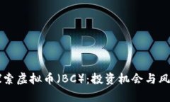 深入探索虚拟币（BC）：投资机会与风险分析