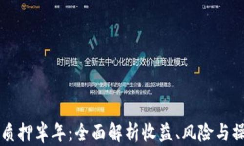 
虚拟币质押半年：全面解析收益、风险与操作指南