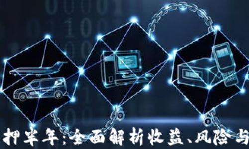 
虚拟币质押半年：全面解析收益、风险与操作指南