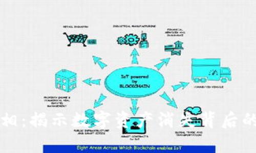 虚拟币蒸发的真相：揭示数字资产消失背后的原因与应对策略