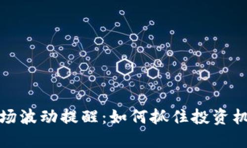 虚拟币市场波动提醒：如何抓住投资机会和风险