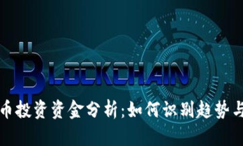 虚拟币投资资金分析：如何识别趋势与风险