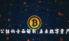 虚拟币公链的全面解析：未来数字资产的基石