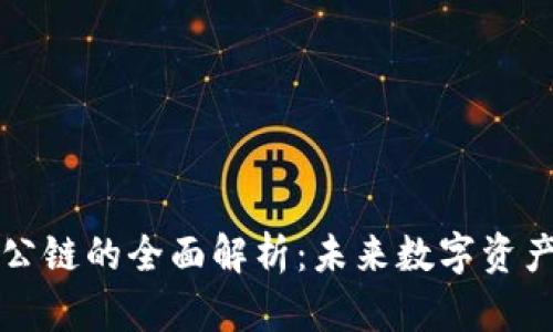 虚拟币公链的全面解析：未来数字资产的基石