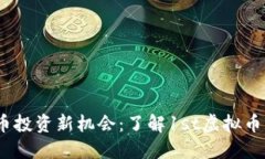 2023年虚拟币投资新机会：了解1st虚拟币的潜力与