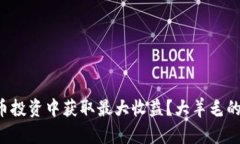 如何在虚拟币投资中获取最大收益？大羊毛的秘