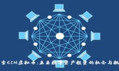 探索CIM虚拟币：未来数字资产投资的机会与挑战
