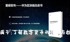 虚拟币圈子：了解数字货币的世界与投资机会