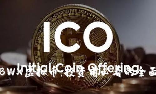 揭秘BWX虚拟币：投资前必看的全面指南