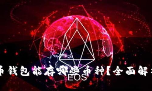 虚拟货币钱包能存哪些币种？全面解析与推荐