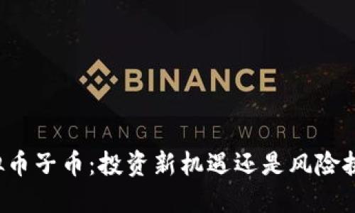 虚拟币子币：投资新机遇还是风险挑战？