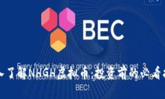 深入了解NHGH虚拟币：投资前的必看指南
