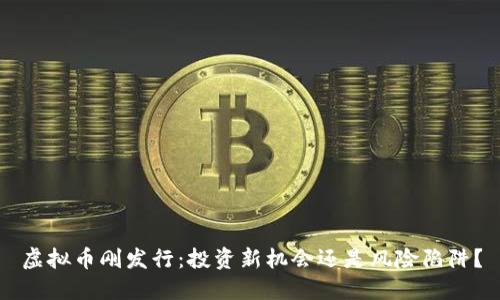 虚拟币刚发行：投资新机会还是风险陷阱？