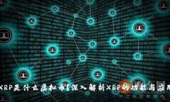 XRP是什么虚拟币？深入解析XRP的功能与应用