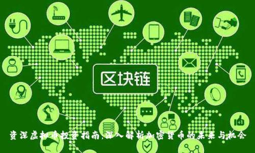 资深虚拟币投资指南：深入解析加密货币的未来与机会