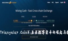 三角币（Triangular Coin）：未来数字货币的崛起与