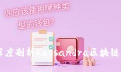 虚拟币KAS：深度剖析Kassandra区块链的未来与价值