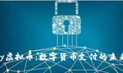 OnPay虚拟币：数字货币支付的未来趋势