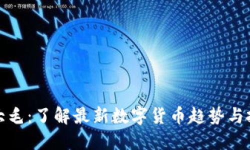 虚拟币大毛：了解最新数字货币趋势与投资机会