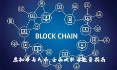 虚拟币与氏币：全面比较与投资指南