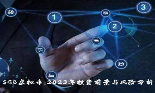 SGB虚拟币：2023年投资前景与风险分析