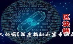 山寨虚拟币骗人的吗？深度揭秘山寨币骗局的真