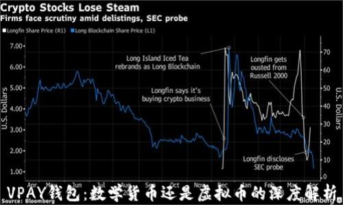 
VPAY钱包：数学货币还是虚拟币的深度解析