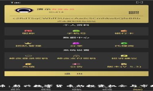 GITC虚拟币：新兴数字货币的投资机会与市场前景分析