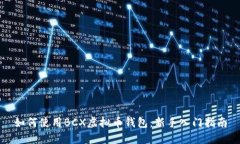 如何使用BCX虚拟币钱包：新手入门指南