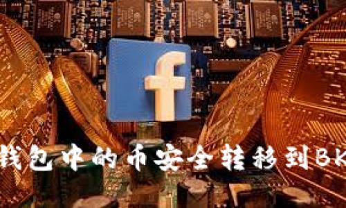 如何将TP钱包中的币安全转移到BKEX交易所