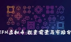 BTFM虚拟币：投资前景与市场分析