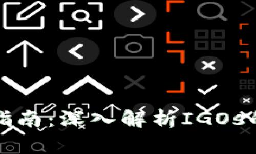 虚拟币投资指南：深入解析IGOs的潜力与风险